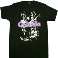 Cinderella - Group Adult T-Shirt