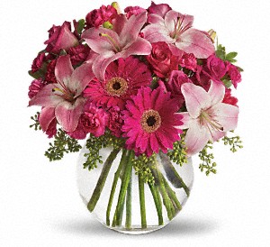 Just Roses Plus