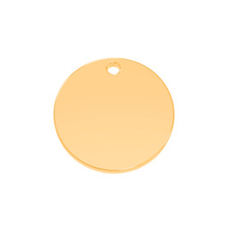Premium Disc - SML (20mm) 18ct GOLD Plated - Stainless Steel
