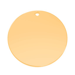 Premium Disc - LRG (30mm) 18ct GOLD Plated - Stainless Steel