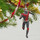 Marvel Ant-Man and the Wasp, Ant-Man Ornament