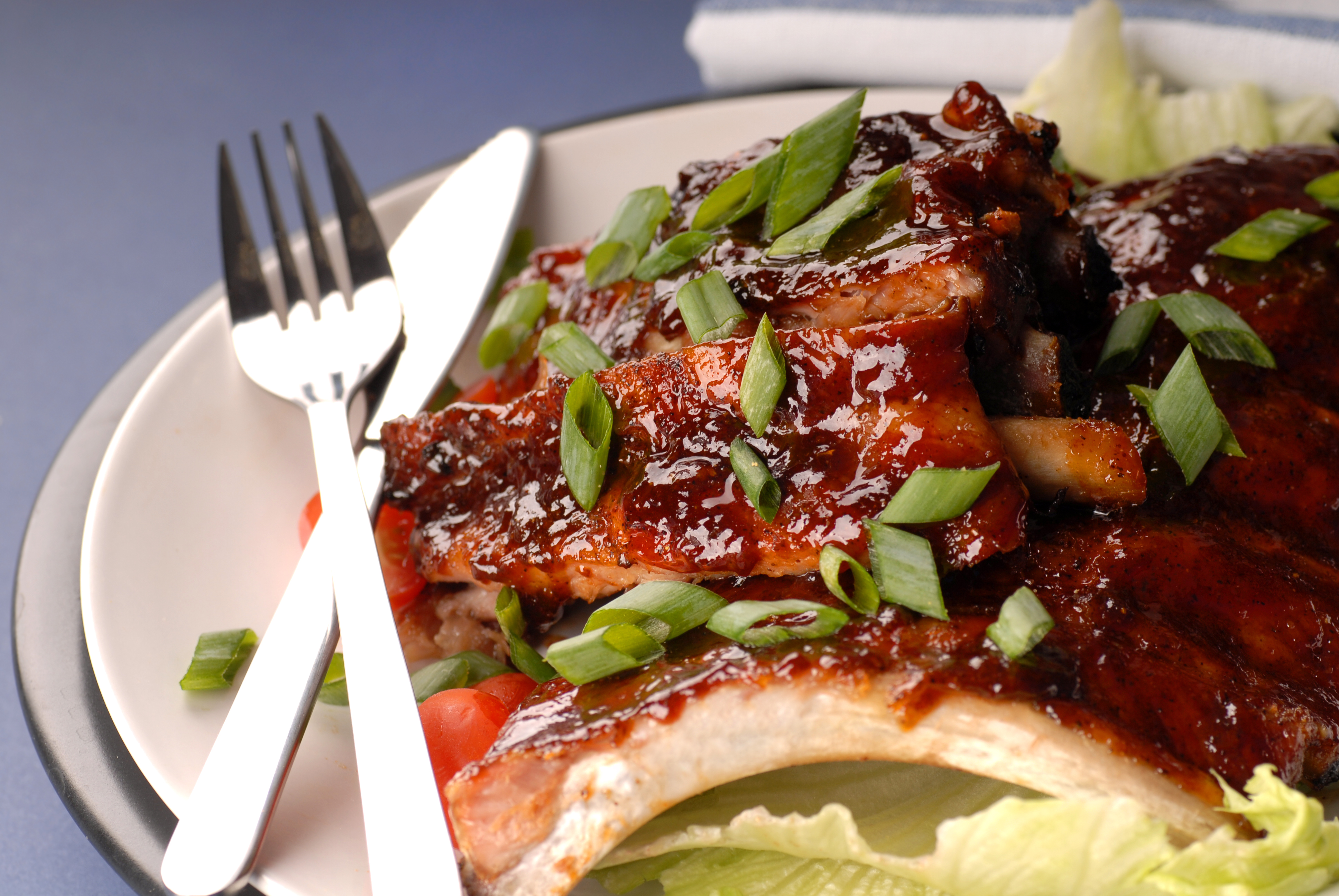 bigstockphoto-slab-of-bbq-ribs-with-scallion-1738171.jpg