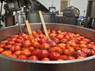 Each of our kettles holds 600 pounds of uncooked tomatoes, we steam these, drain off the water, then pack it into quart size glass mason jars and get them back to the farms. Our local farms sell their tomatoes (in canned form) throughout the winter and spring, and we sell our own version of tomato puree to stores in the Northeast and Mid-Atlantic.