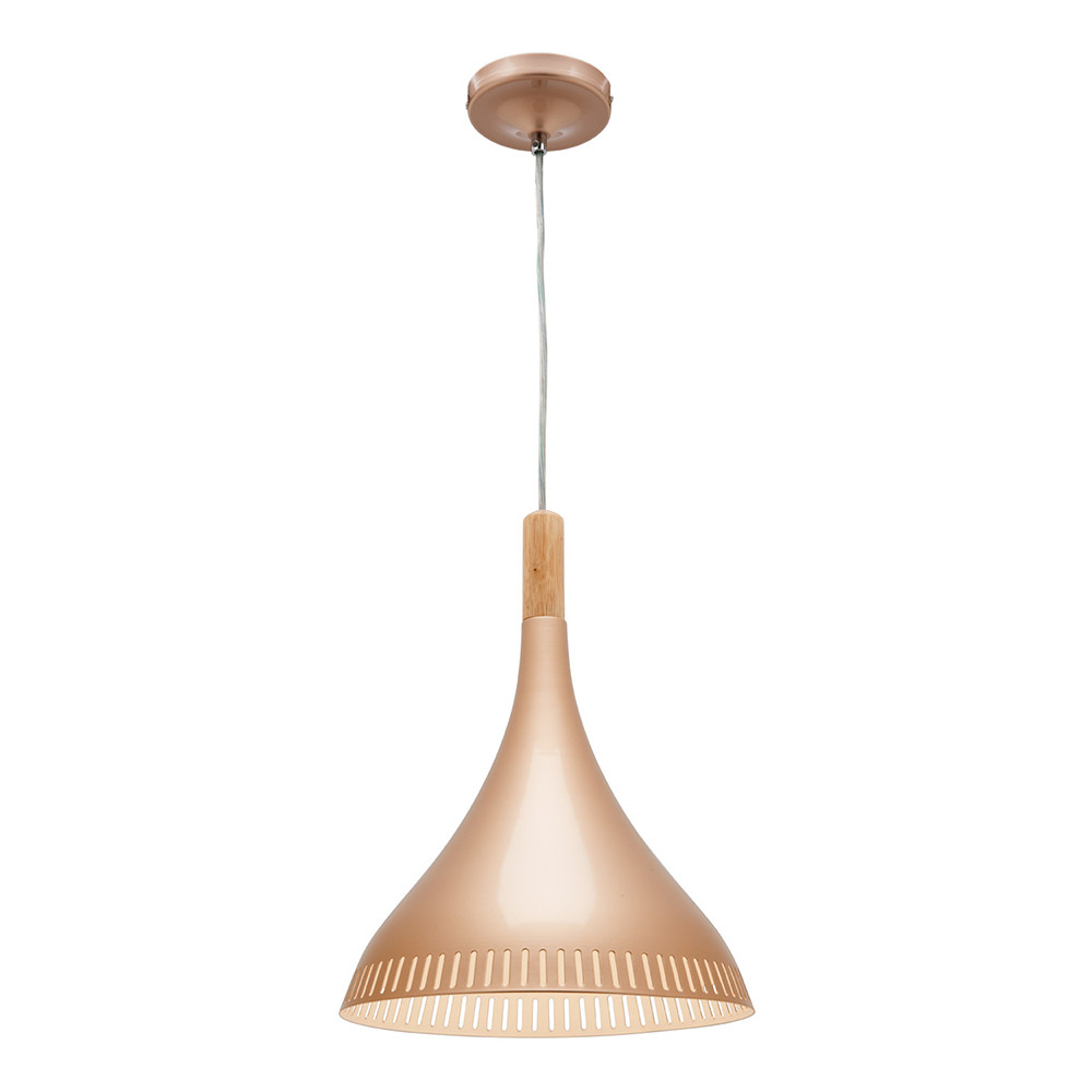 Contemporary Champagne Gold 1 Light 