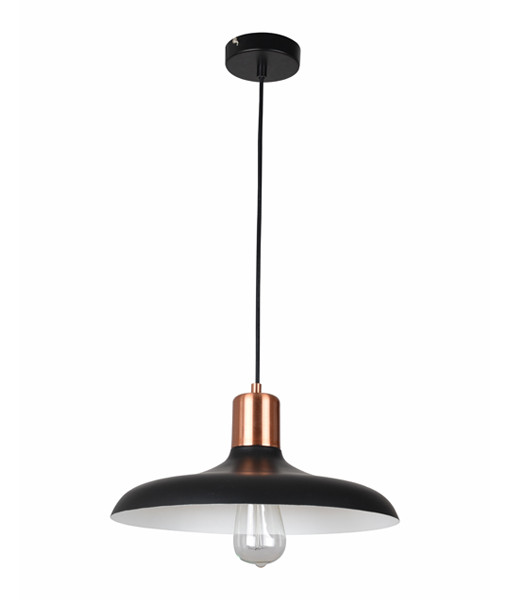 matte black hanging light