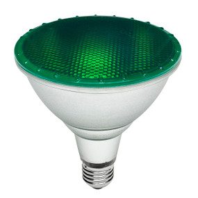 E27 PAR 38 Reflector Globe - 15W 250lm IP65 134mm Green