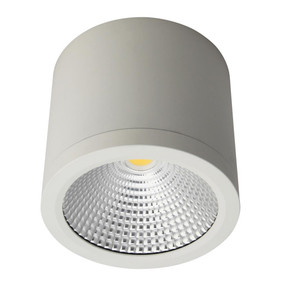 Surface Mounted Downlight - Dimmable 25W 2250lm IP54 IK08 4000K 120mm Satin White Commercial Grade