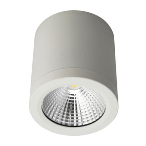 Surface Mounted Downlight - Dimmable 13W 880lm IP54 IK08 4000K 90mm Satin White Commercial Grade