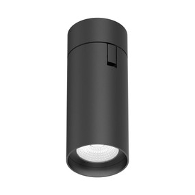 Ceiling Spotlight - Vandal Resistant Adjustable 25W 2750lm IP20 IK08 5000K 210mm Black - Min10