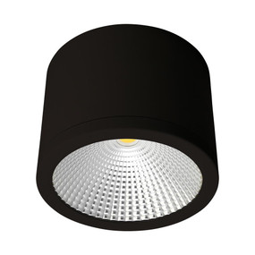 Cylindrical 240V 35W LED Ceiling Light - Black Finish / Warm White LED