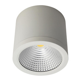 Cylindrical 240V 25W LED Ceiling Light - White Finish / White LED