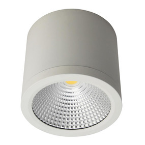 Surface Mounted Downlight - Dimmable 25W 2250lm IP54 IK08 4000K 120mm Satin White Commercial Grade - Min10
