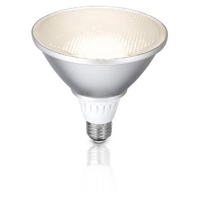 Light: LED PAR38 13W Reflector Globe - NA