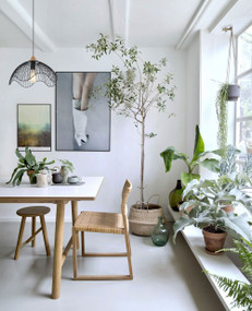 Cage Black Pendant Light - Small, Wood and Iron Adjustable Cord