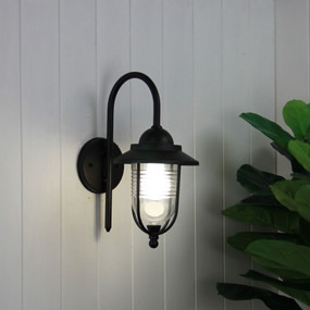 Modern Black Coach Light With Clear Diffuser
