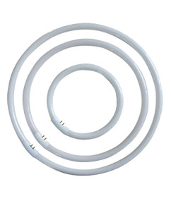 CFL G10Q T5 Circular 22W 6500K OD187mm 1350lm Globe