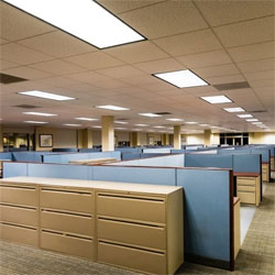 Wholesale lighting for commercial fitouts