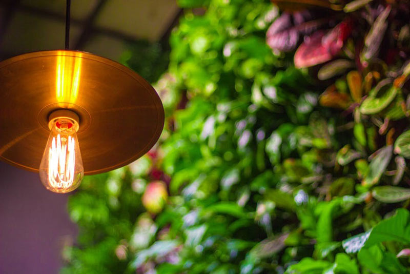 Tips for Lighting Up Your Garden in Style