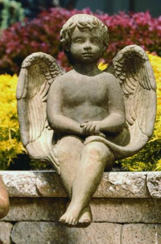 Sitting angel statue resting on a garden wall with flowers behind.