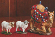  Real Life Nativity set of three animals to complement the 7", 10" Standard or 14" Deluxe Three King's Nativity Sets~ RLN030/7", RLN025/10", and set RLN020/14", this three-piece set includes a kneeling camel and two sheep. The sheep are modeled after the breed of sheep found in Bethlehem. Awassi sheep are notable for their shaggy cost, dark face, ruggedness and tolerance to extreme conditions. The set includes one ewe (female) and on ram (male) along with a brightly dressed camel kneeling in a reverent pose. Available in three sizes!