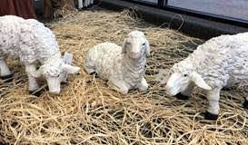 Three piece lamb set with one lying, one grazing, and one standing with its neck lowered. 
