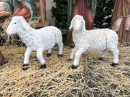 Set of two standing lambs for a large indoor or outdoor Nativity scene. 
 