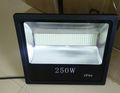 250W LED Flood Light