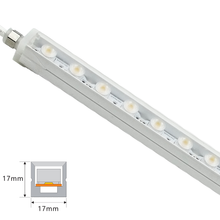 1717WW: SLW LED® Flexible LED Wall Washer