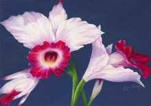 21 x 29.75 Atlanta Orchid S520 Original Painting in Pastel Print by Susan Edgmon