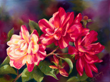 10.75 x 14.75 Mt Olive Roses S536-4/750 Original Painting in Pastel Print by Susan Edgmon