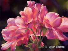 10.5 x 14 Provin’s Rose S576-3/500 Original Painting in Pastel Print by Susan Edgmon