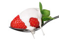 Unicorn Vapors -Strawberries and Cream