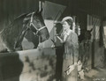 She Went To The Races (1945) DVD
