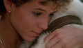White Dog (1982) DVD