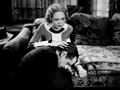 Loyalties (1933) DVD