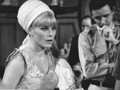 The Wicked Dreams Of Paula Schultz (1968) DVD