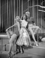How To Marry A Millionaire (1953) DVD