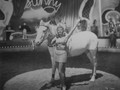 Sunny (1941) DVD