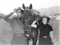 Sergeant Murphy (1938) DVD