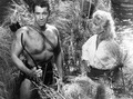 Tarzan's Greatest Adventure (1959) DVD