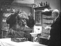 The Ape (1940) DVD