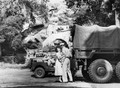 The Bold And The Brave (1956) DVD