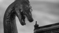 The Giant Behemoth (1959) DVD