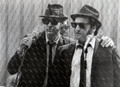 The Blues Brothers (1980) DVD