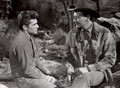 Black Horse Canyon (1954) DVD