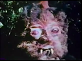 Curse Of Bigfoot (1975) DVD