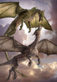Dragons: A Fantasy Made Real (2004) DVD