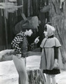 The Dangerous Christmas Of Red Riding Hood (1965) DVD