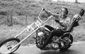 Easy Rider (1969) DVD