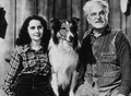 Courage Of Lassie (1946) DVD